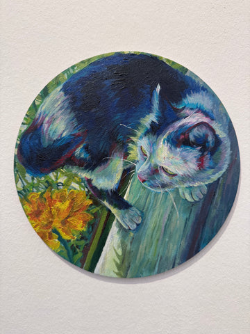 Katze